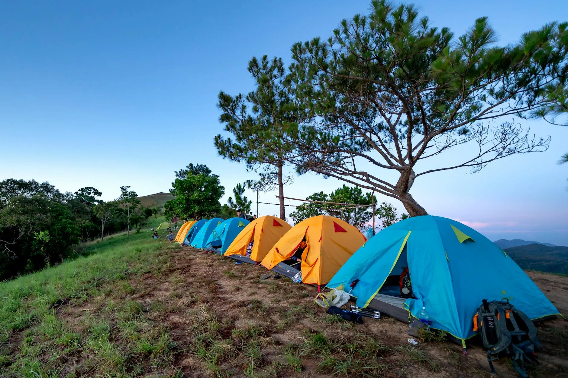 Camping tents near mountains and evergreen trees