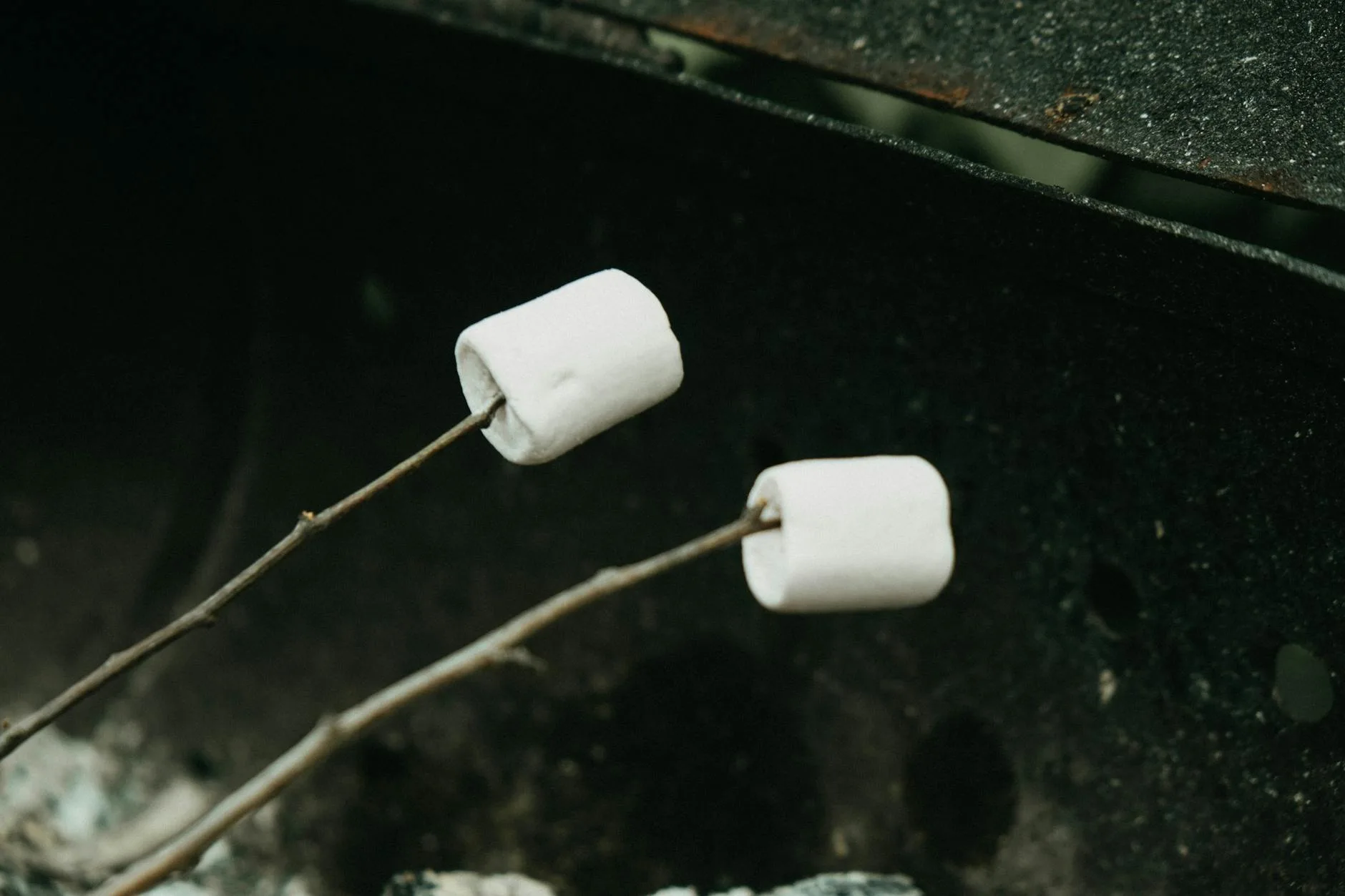 Marshmallows toasting on sticks over a campfire