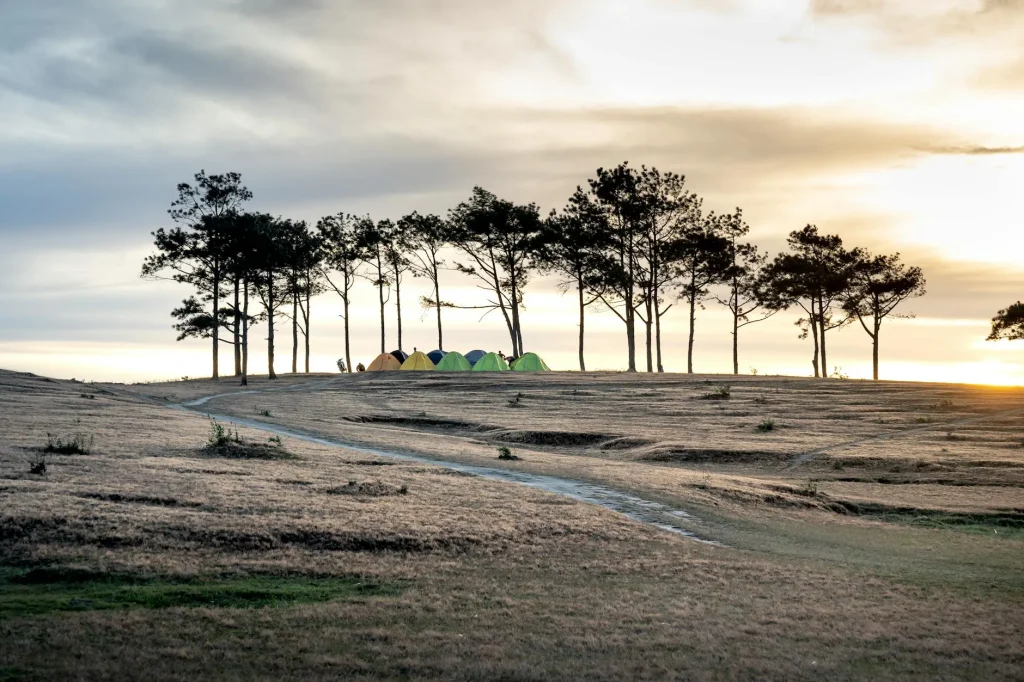 Tent pitched on flat ground at a scenic campsite with rolling green hills