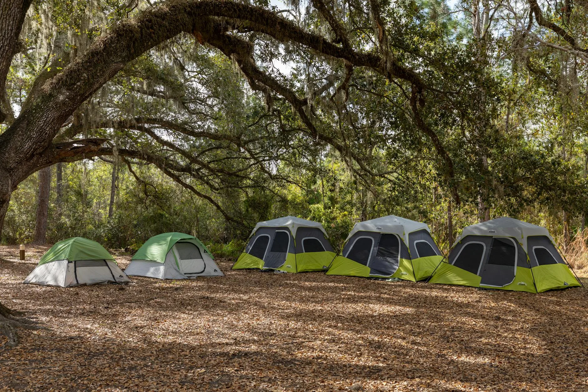 Large family camping tent with poles and guy ropes