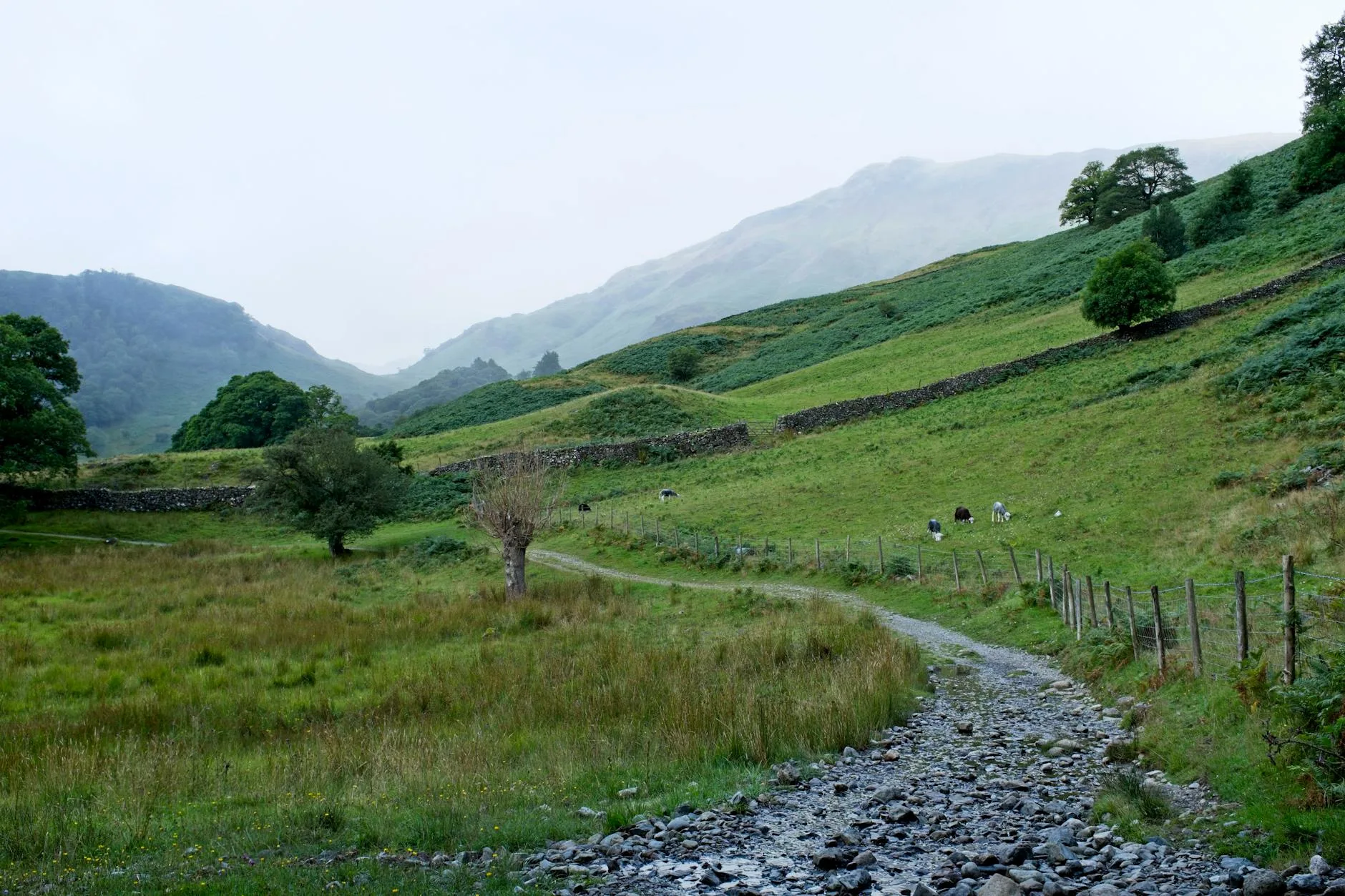 Hiker walking through rain on a UK countryside trail