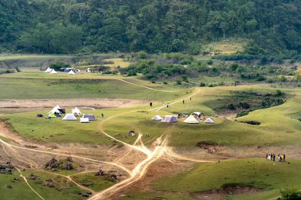 Colourful tents pitched on a green campsite field in the UK countryside