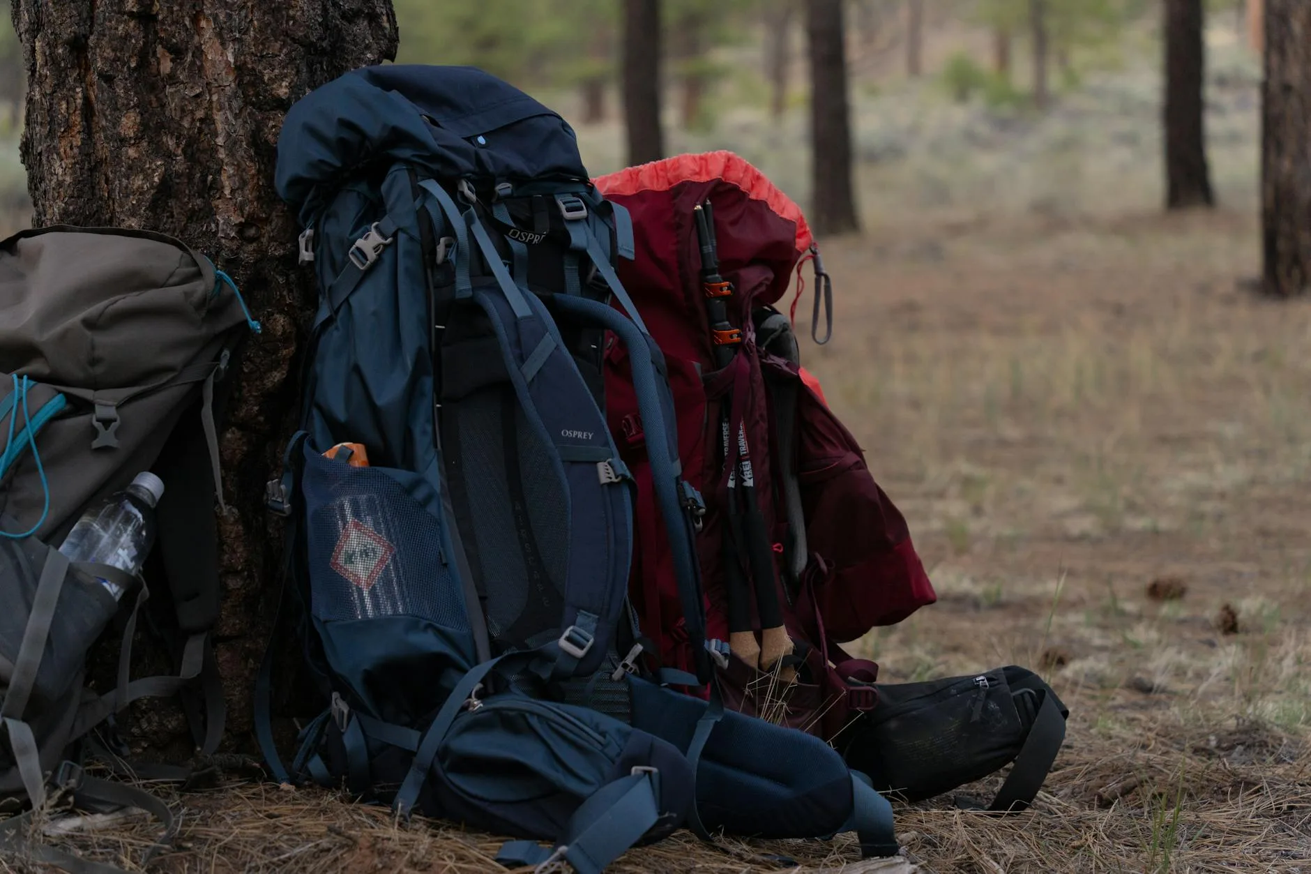 Compressed sleeping bag in a stuff sack next to a backpack