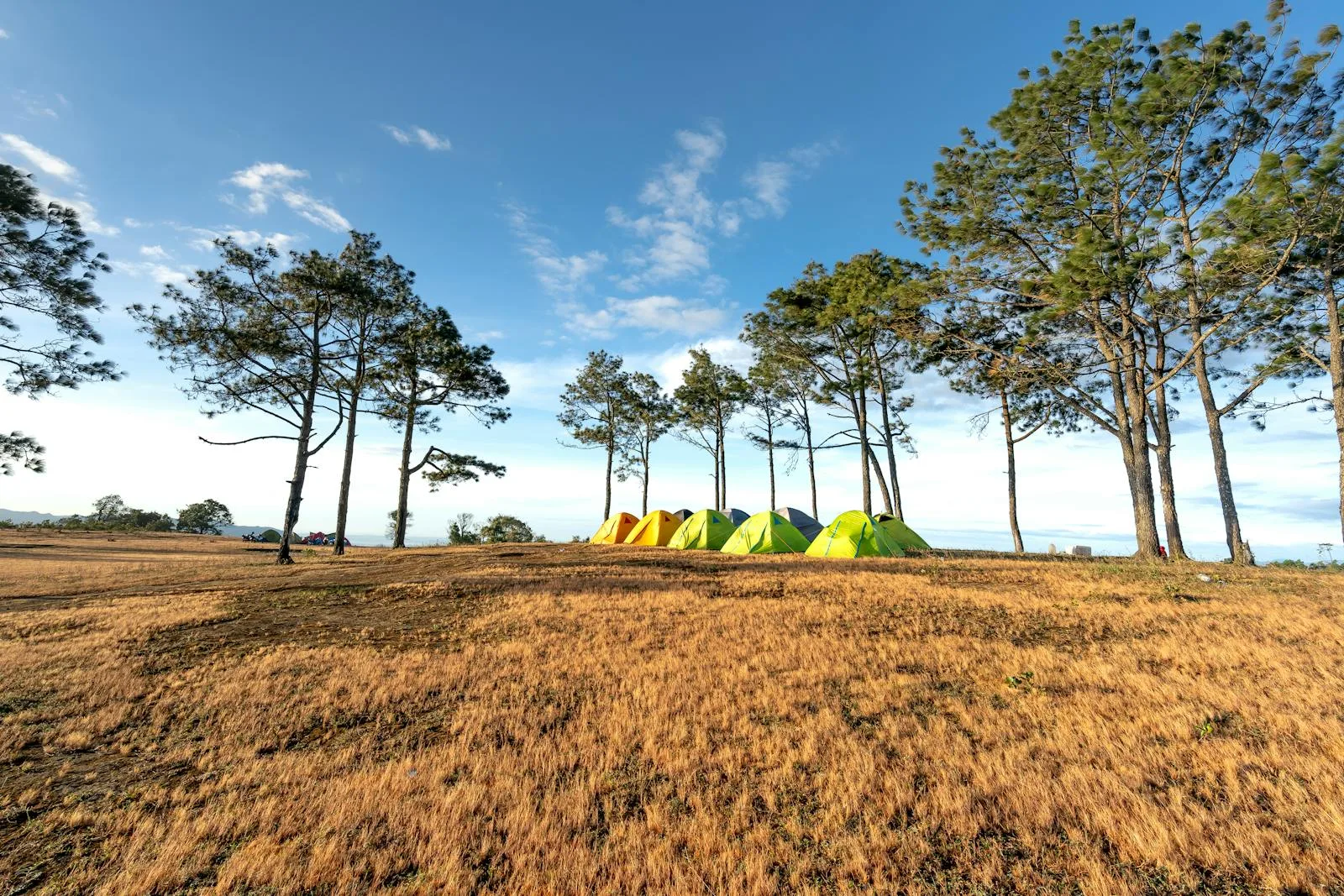 Colourful tents of various sizes pitched in a mountain field