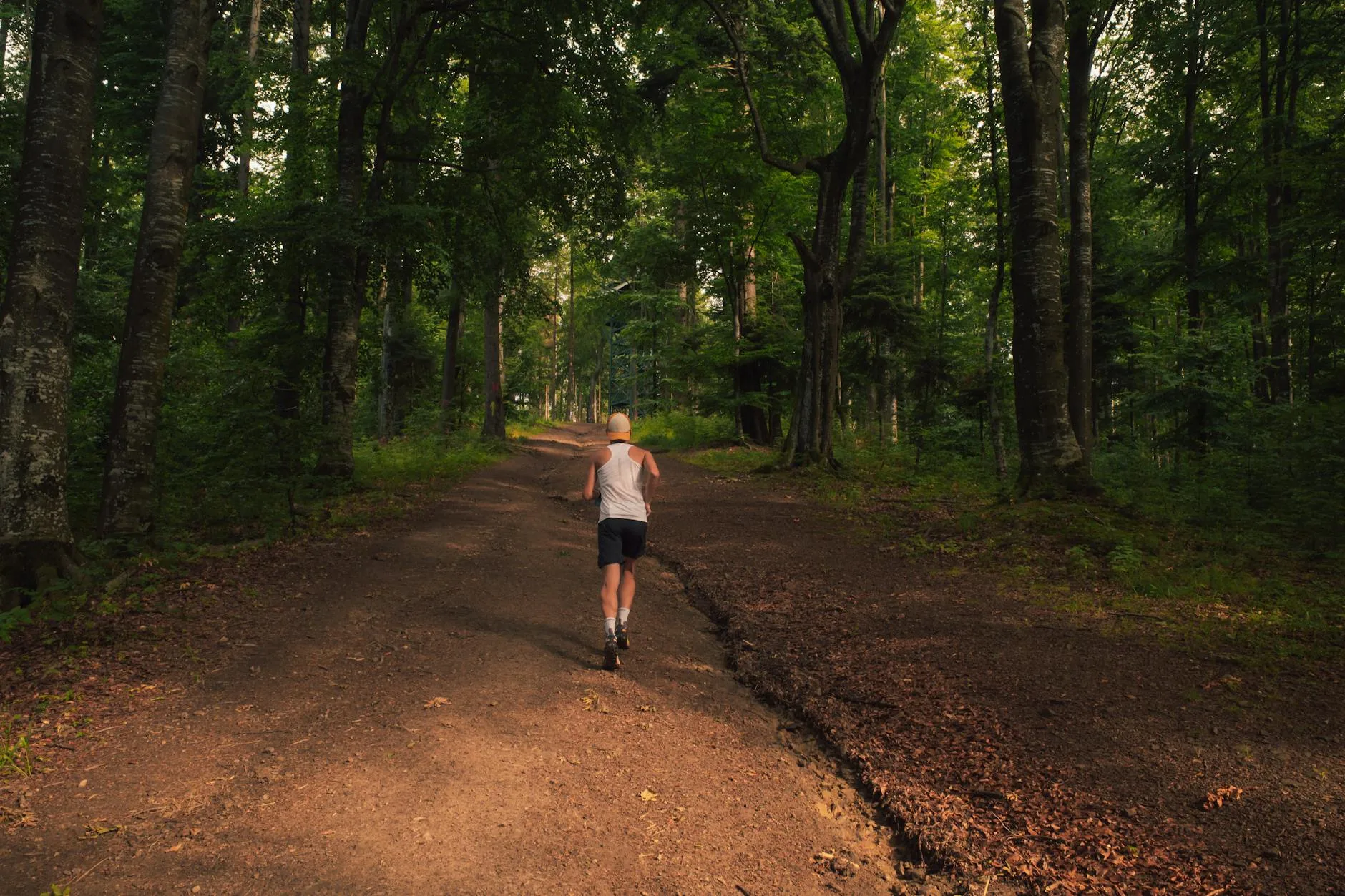 Trail runner wearing a head torch on a dark forest path