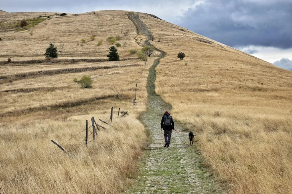 Hiker with a day pack walking along a countryside trail