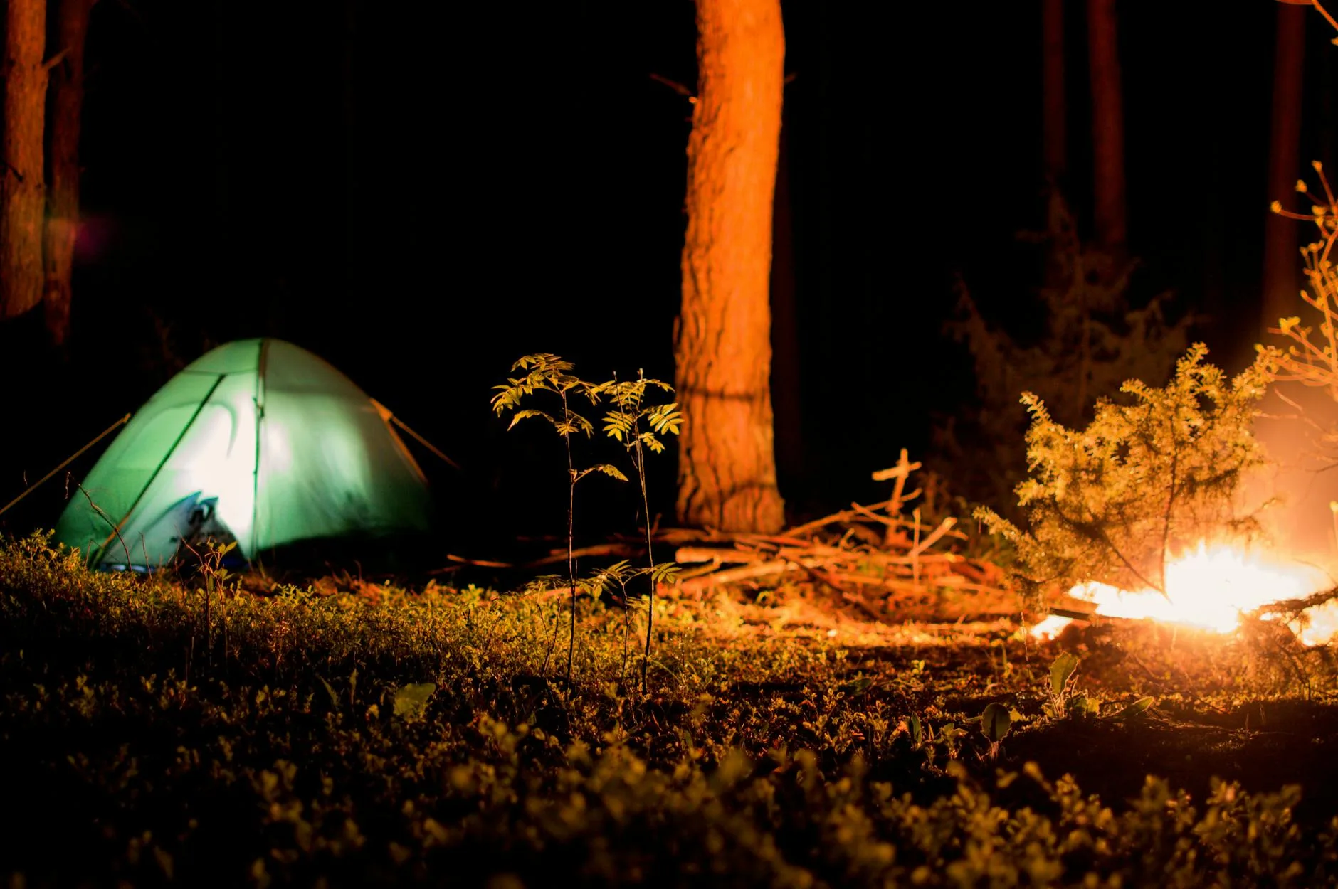 Campsite in the evening with cooking setup