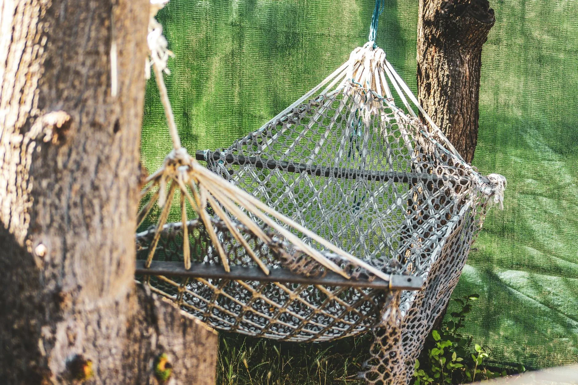 Hammock straps attached to a tree trunk