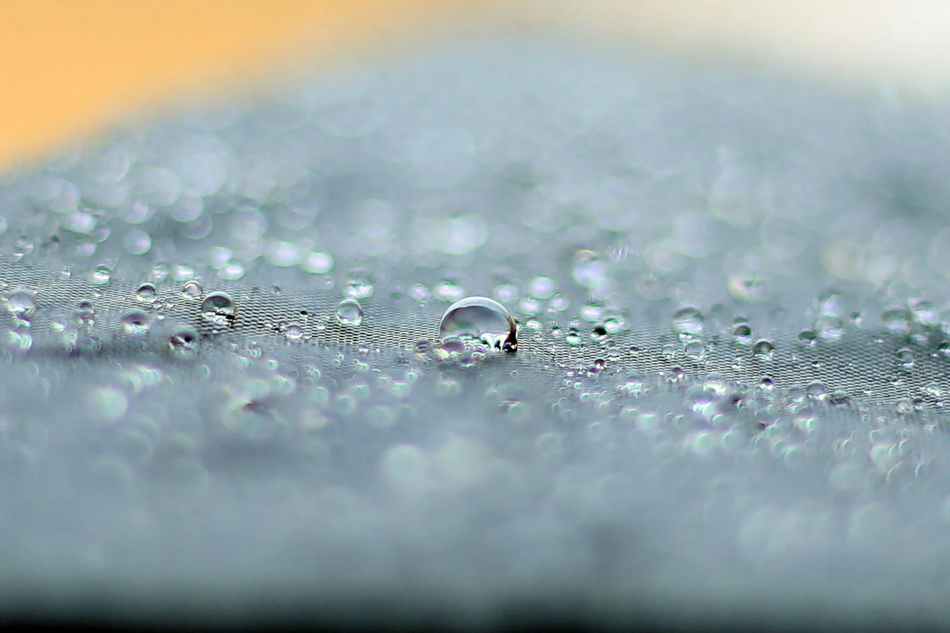 Raindrops beading on waterproof tent fabric