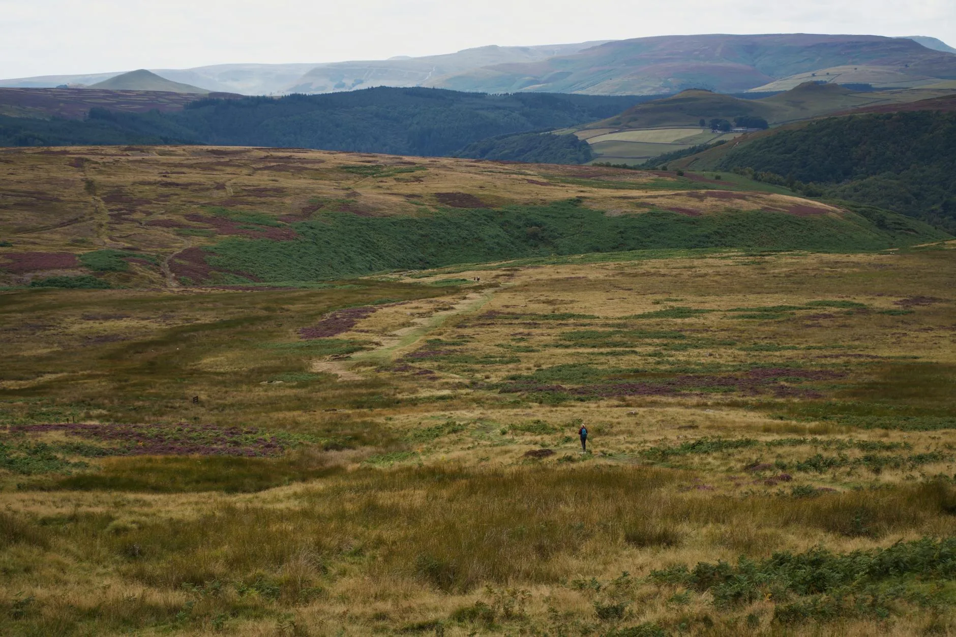 Green countryside hills ideal for trekking pole use