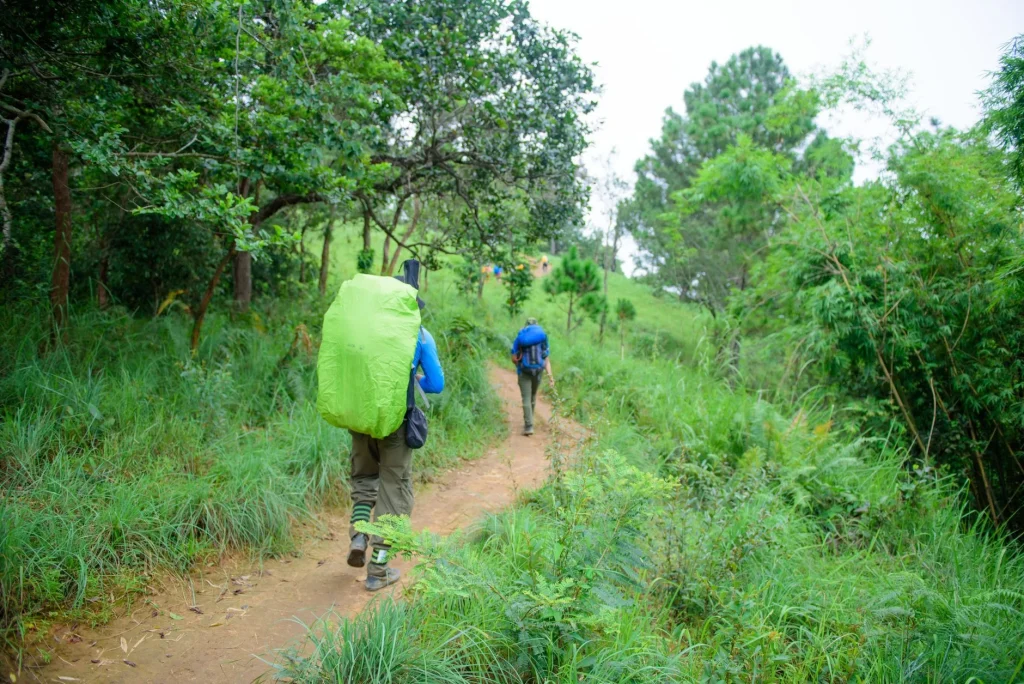 Hikers training on an uphill trail with daypacks